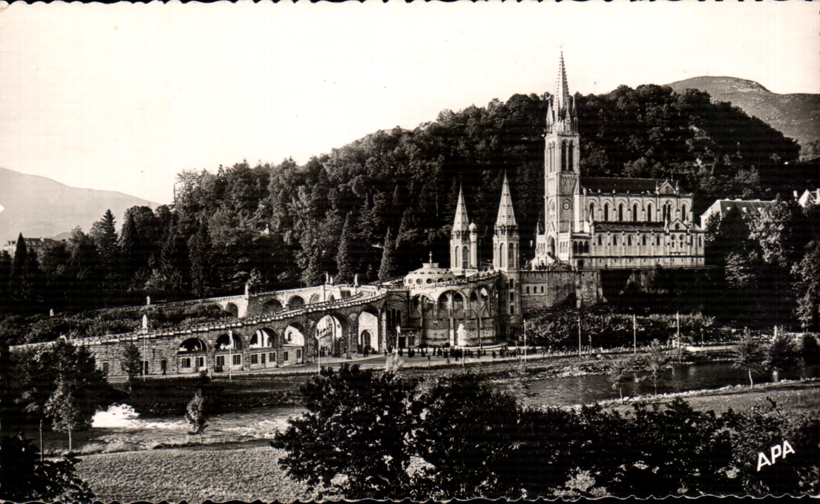 CPA Lourdes La Basilique vue de la Chapelle des Carmelites