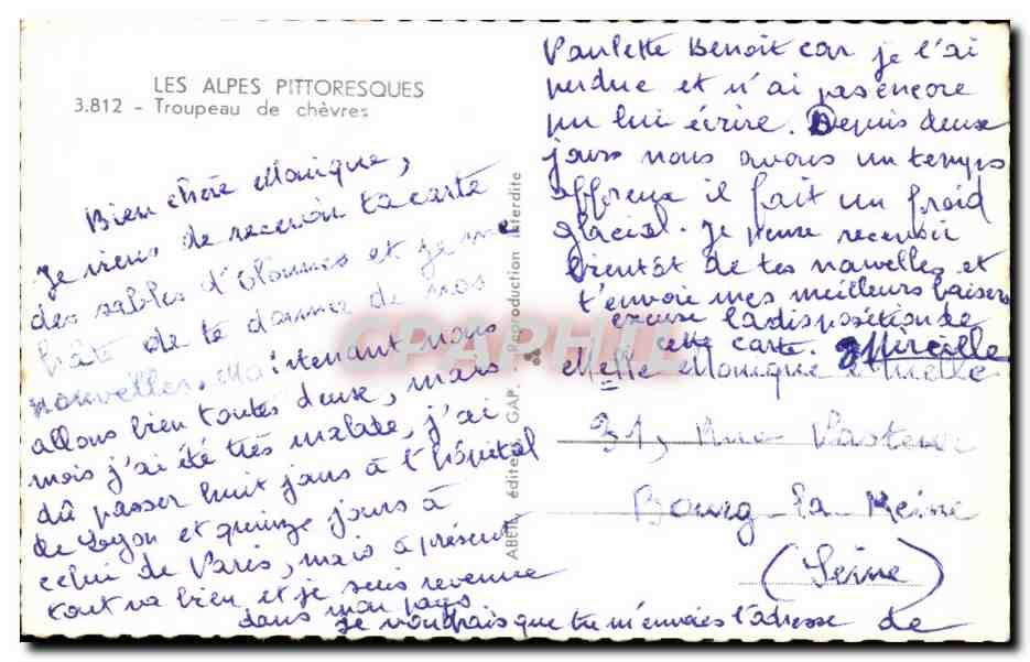 CPA Les Alpes Pittoresque Troupeau De Chevres Goat — Rückseite