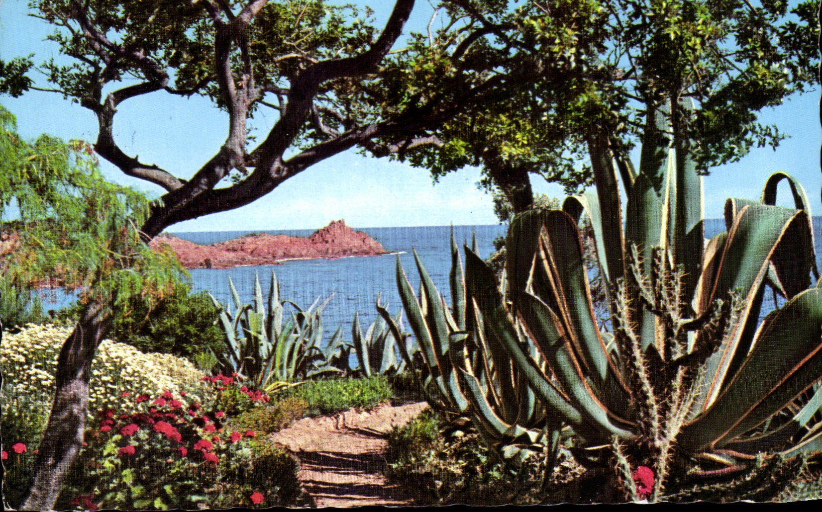 CPA La Cote d'Azur Harmonie De Couleur Et De Iumiere