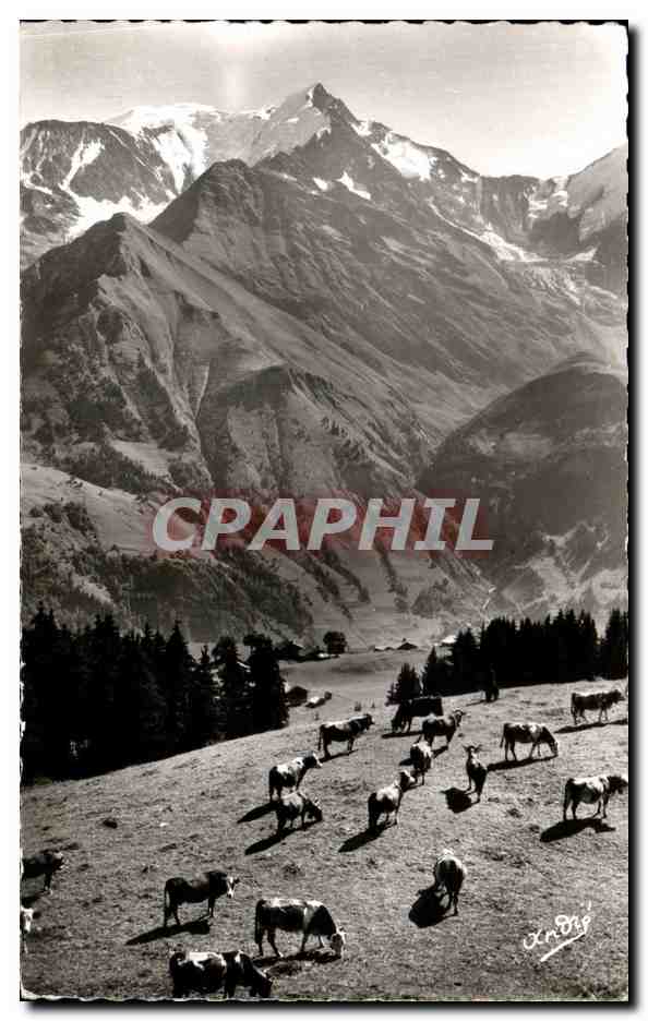 CPA Paysages Alpestres Paturage