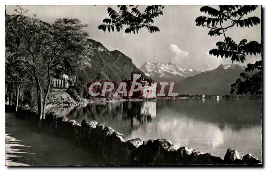 CPA Lac Leman Chateau de Chillon et les Dents du Midi