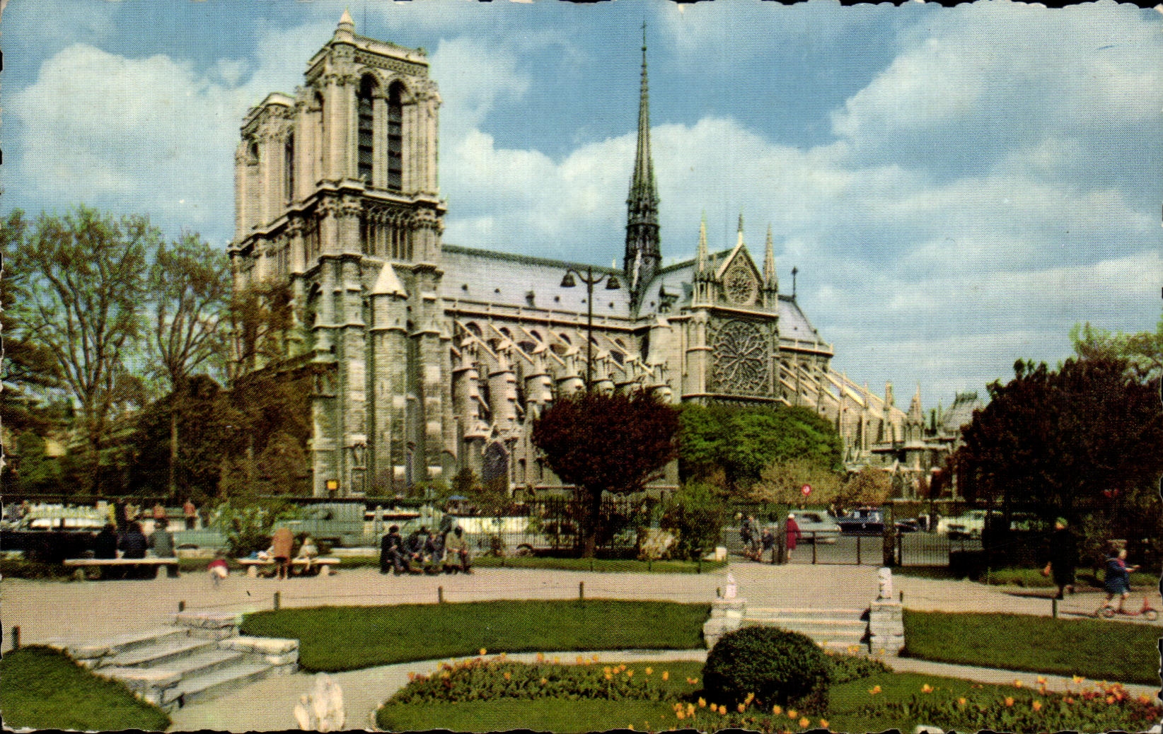 CPA Paris Notre Dame de Paris et le square Viviani