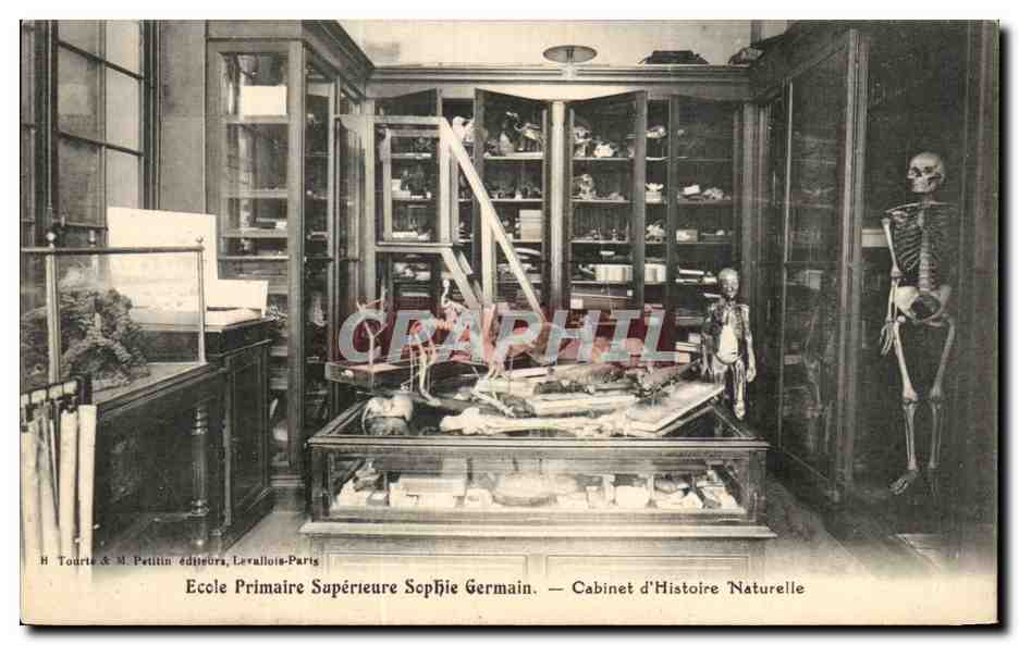 Cabinet d'Histoire Naturelle — Ecole Primaire Supérieure Sophie Germain — Paris
