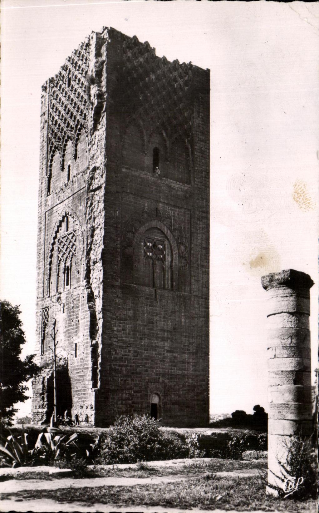 CPA Rabat la Tour Hassan Maroc 
