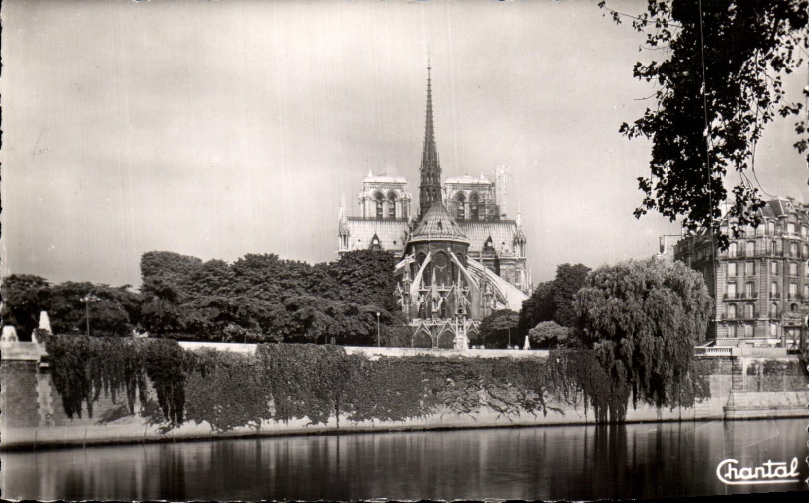 CPA Paris Notre Dame Vue de la Cite