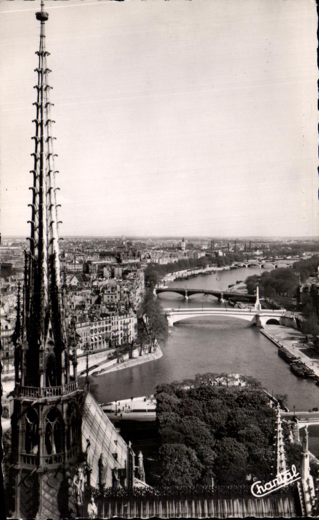 CPA Paris La Fleche de Notre Dame et la Seine