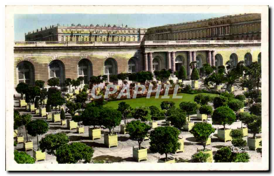 CPA Versailles Le Chateau Et l'Orangerie Castle And Orangery
