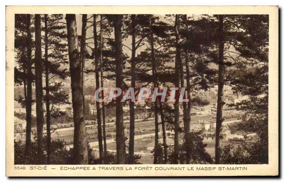 CPA Echappee A Travers La Foret Couvrant Le Massif St Martin St Die 