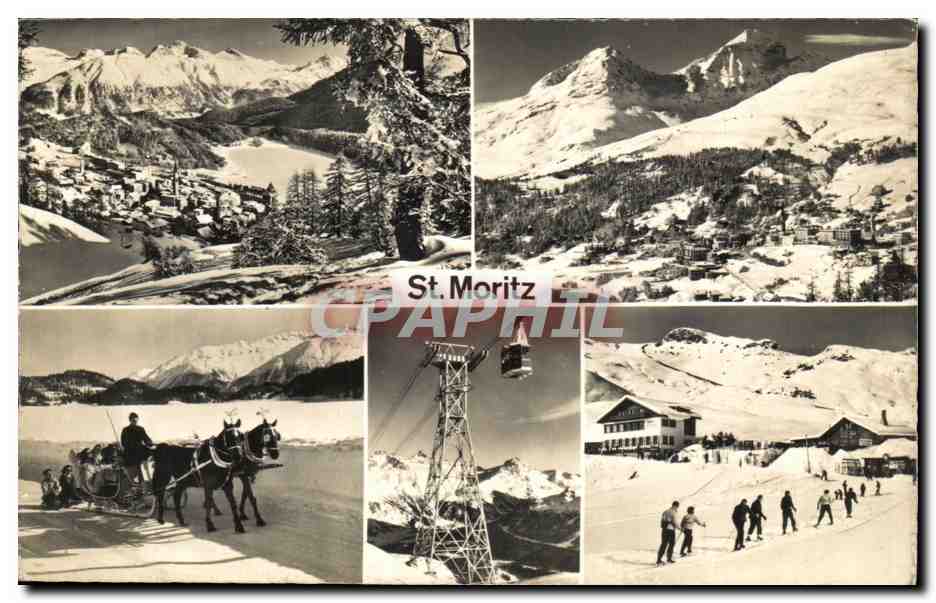 CPA St Moritz Traineau Cheval Horse Ski