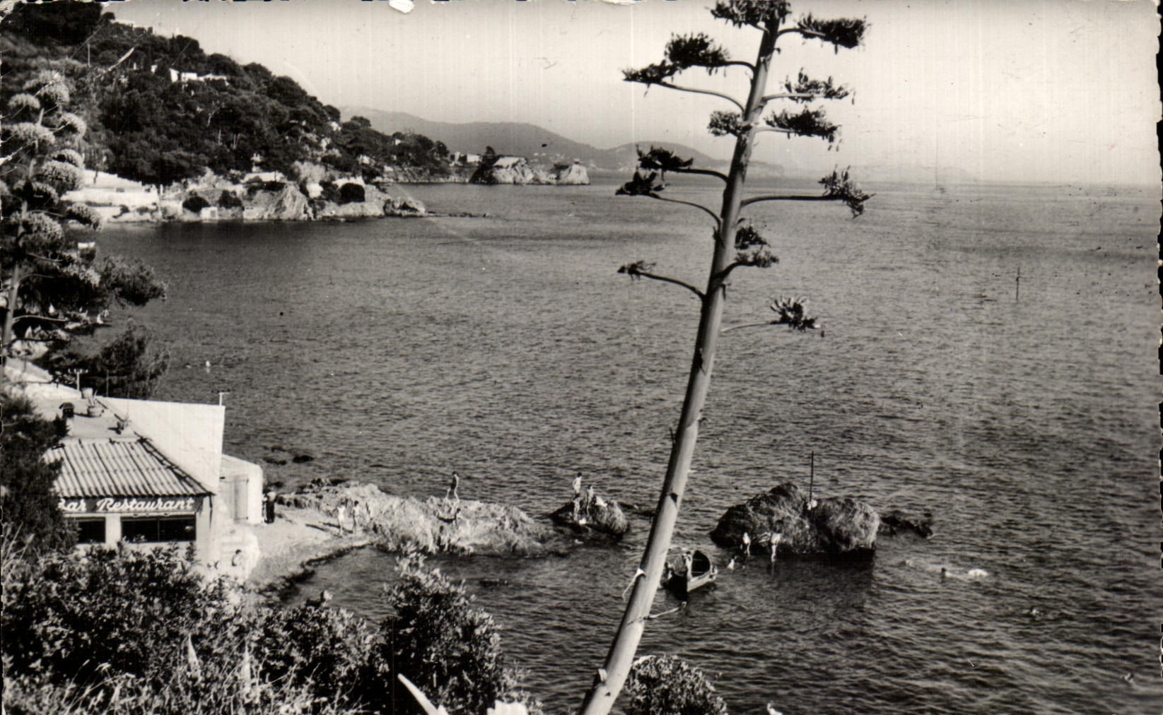 CPA Toulon Vue sur Le Cap Brun