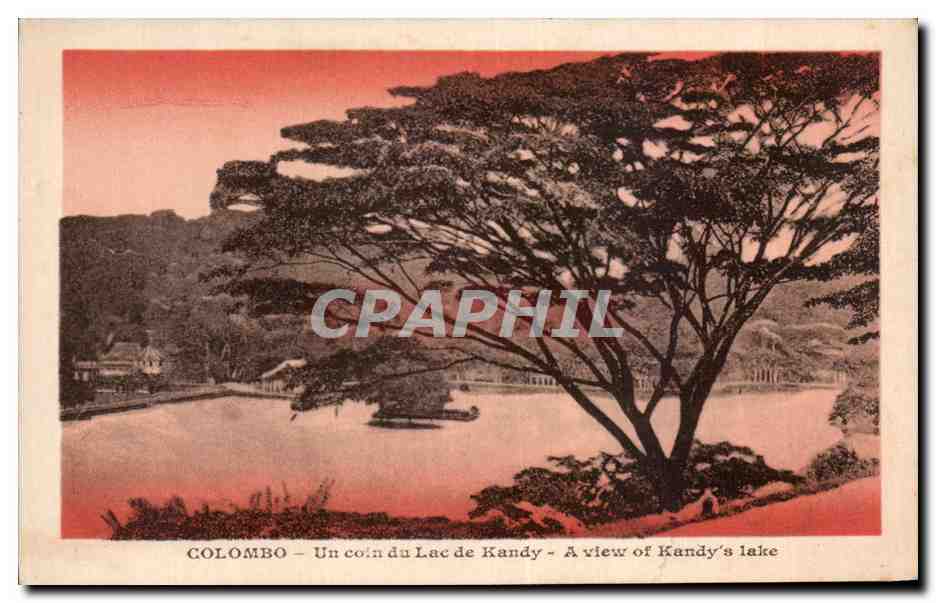 CPA Colombo Un Coin du Lac de Kandy A View of Kandy lake Sri Lanka Ceylan Ceylon 