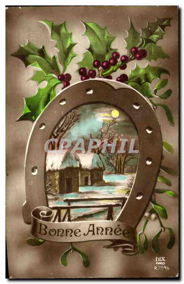 CPA Fantaisie Fleurs Fer a cheval Bonne Annee