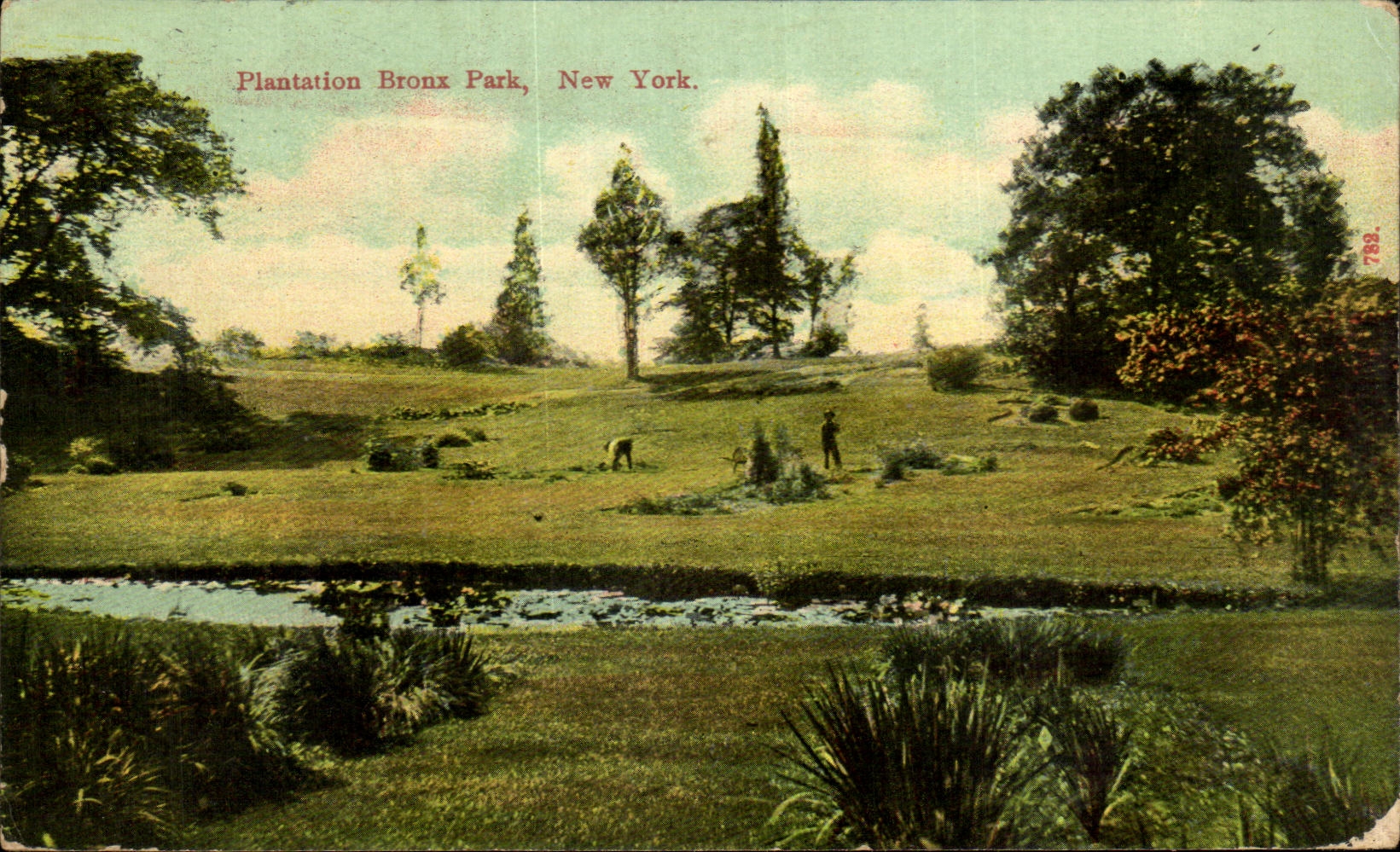 CPA Plantation Bronx Park New York