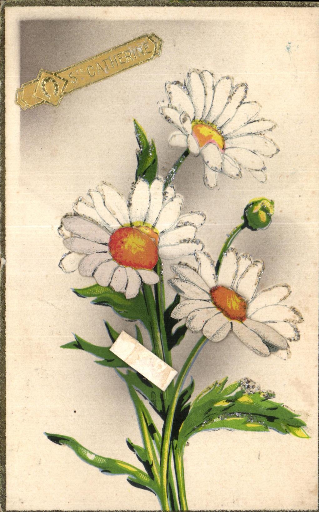 CPA Fantaisie Fleurs paquerettes 