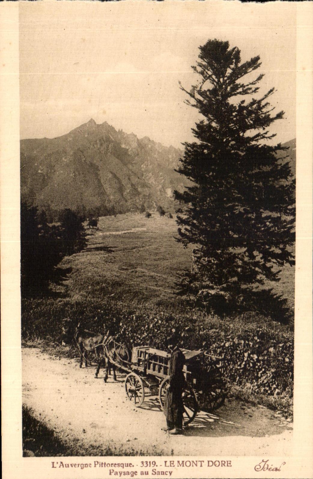 CPA L'Auvergne pittoresque le mont dore paysage nu sancy Attelage Ane Donkey