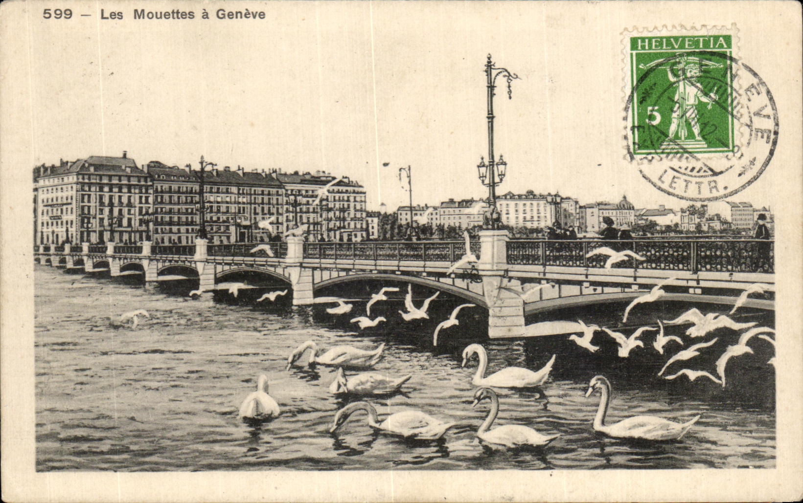 CPA Les mouettes a geneve Cygne 