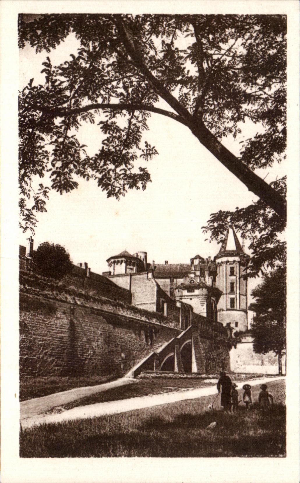 CPA Saumur Le Chateau a Travers les Arbres