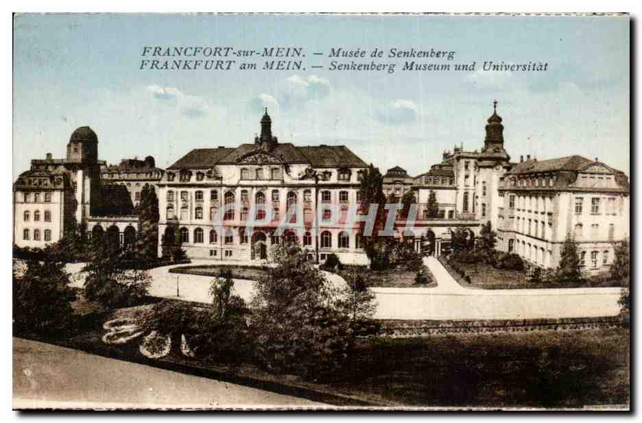 Frankfurt-sur-Mein — Musée de Senckenberg et Université — éditeur non visible