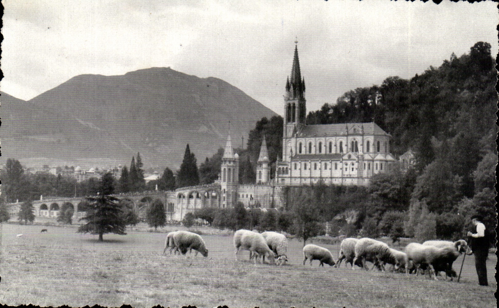 CPA Lourdes La basilique Vue de La Prairie de la Grotte The Basilican seen from the Meadow of the Grotto