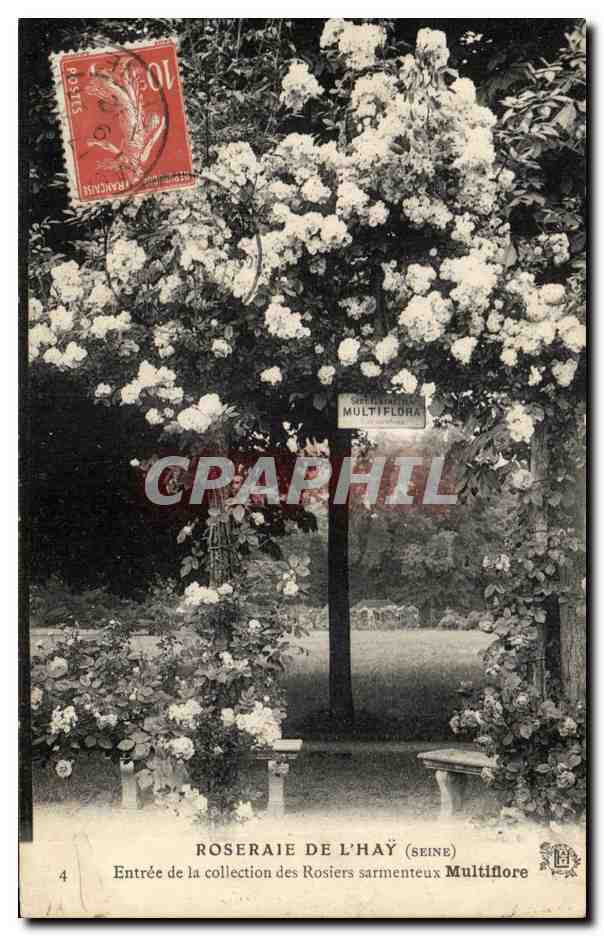 CPA Roseraie De L'Hay Entree de la collection des Rosiers sarmenteux Multiflore