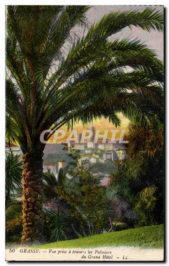 Grasse — Ansicht durch die Palmen des Grand Hotels — Li