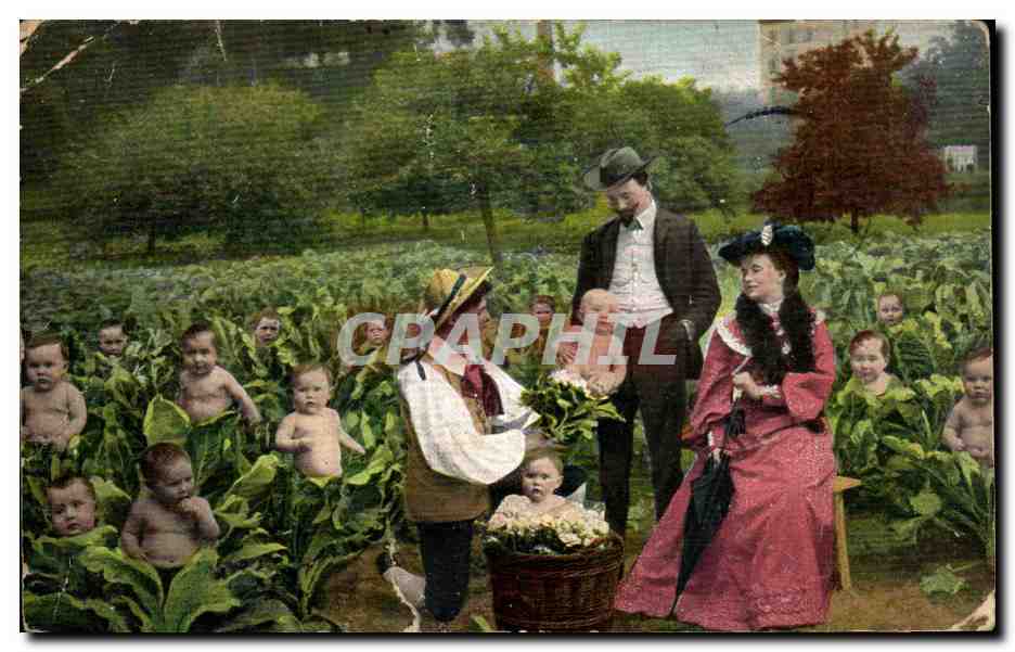 CPA Fantaisie Enfants dans les choux