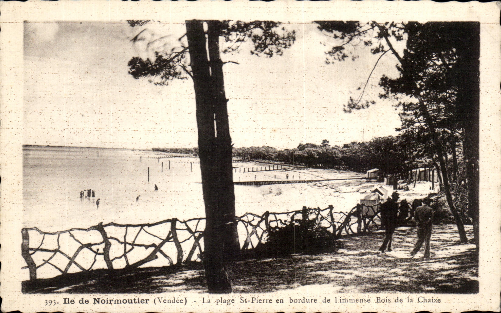 Ile de Noirmoutier (Vendée) — La plage St-Pierre en bordure de l'immense Bois de la Chaize — J. Nozais, Nantes