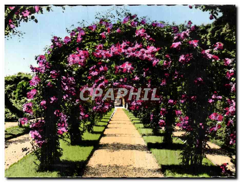 CPA Rosaire De L'Hay Les Roses Une allee
