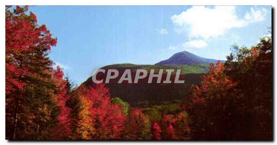CPA The Kancamagus Highway White Mountains National Forest