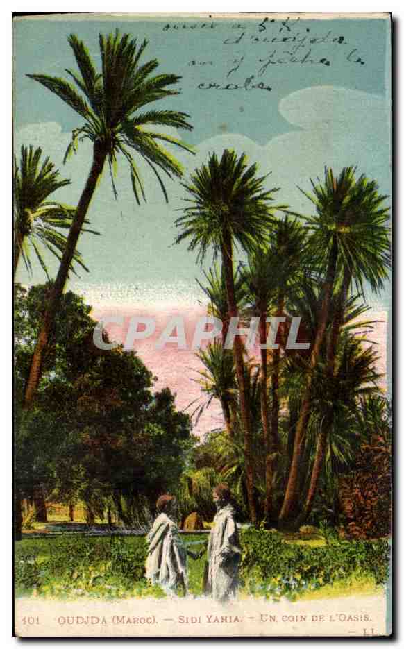 CPA Oudjda Maroc Sidi Yahia Un Coin De L'Oasis