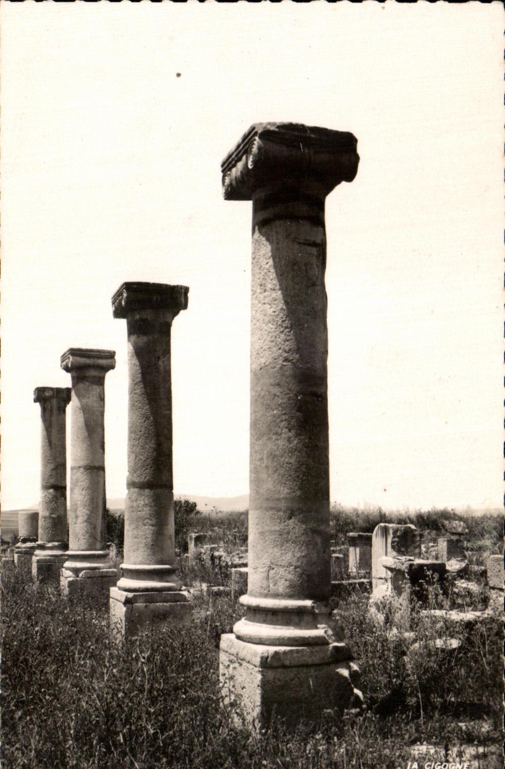 CPA Volubills Facade du Palais dit du Gordien Maroc 