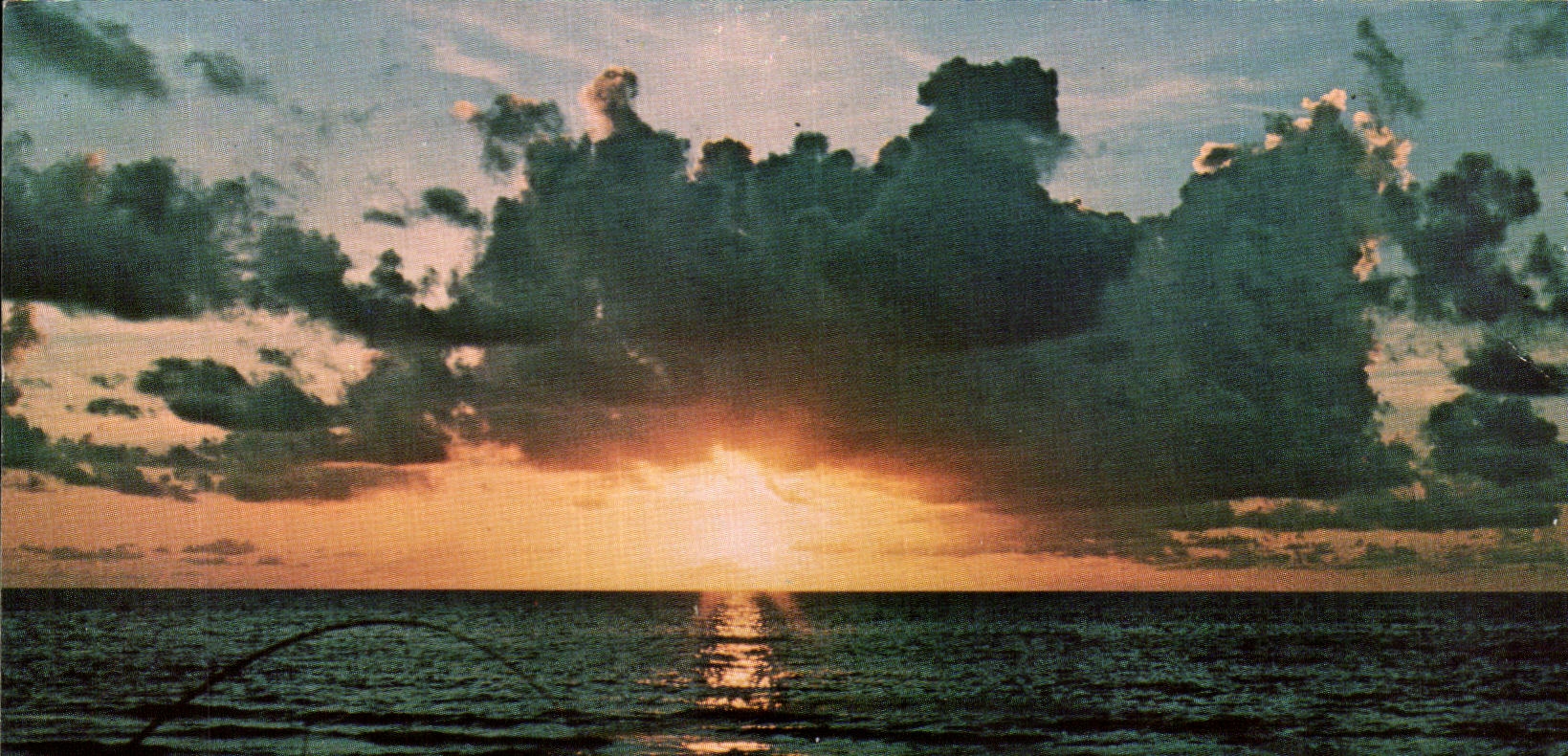 CPA Another beginning of a wonderful day in beautiful florida