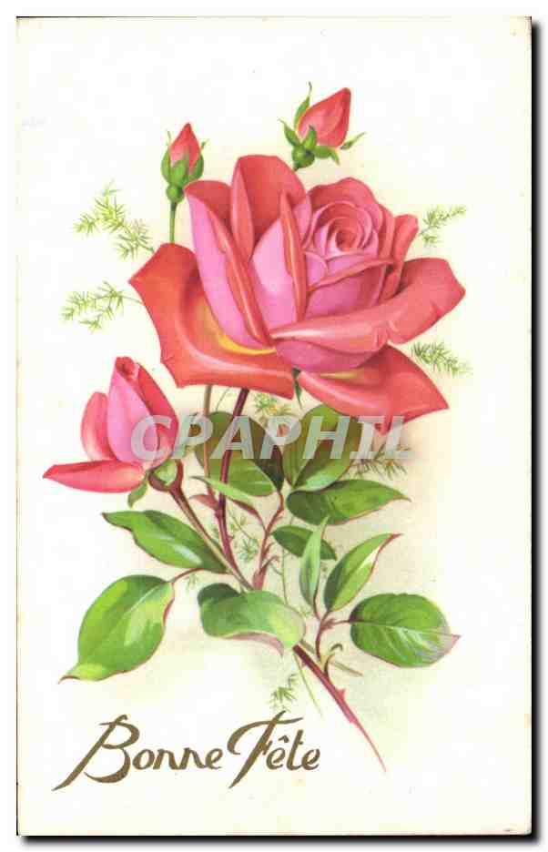 CPA Fantaisie Fleurs Roses Bonne Annee