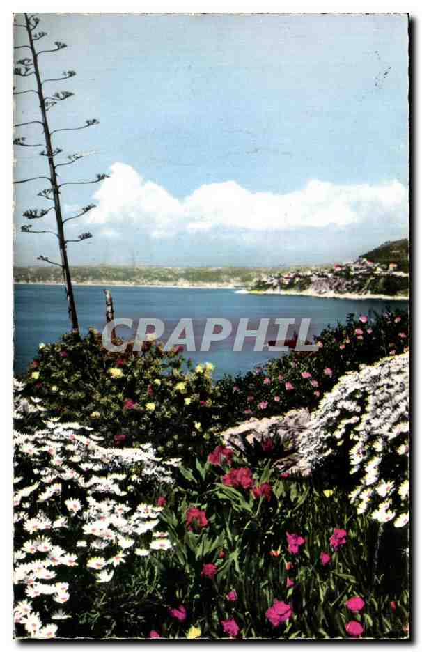 CPA Cote d'Azur Jardin Fleuri Echappee sur la Mer Dans le fond la Baie des Anges a Nice