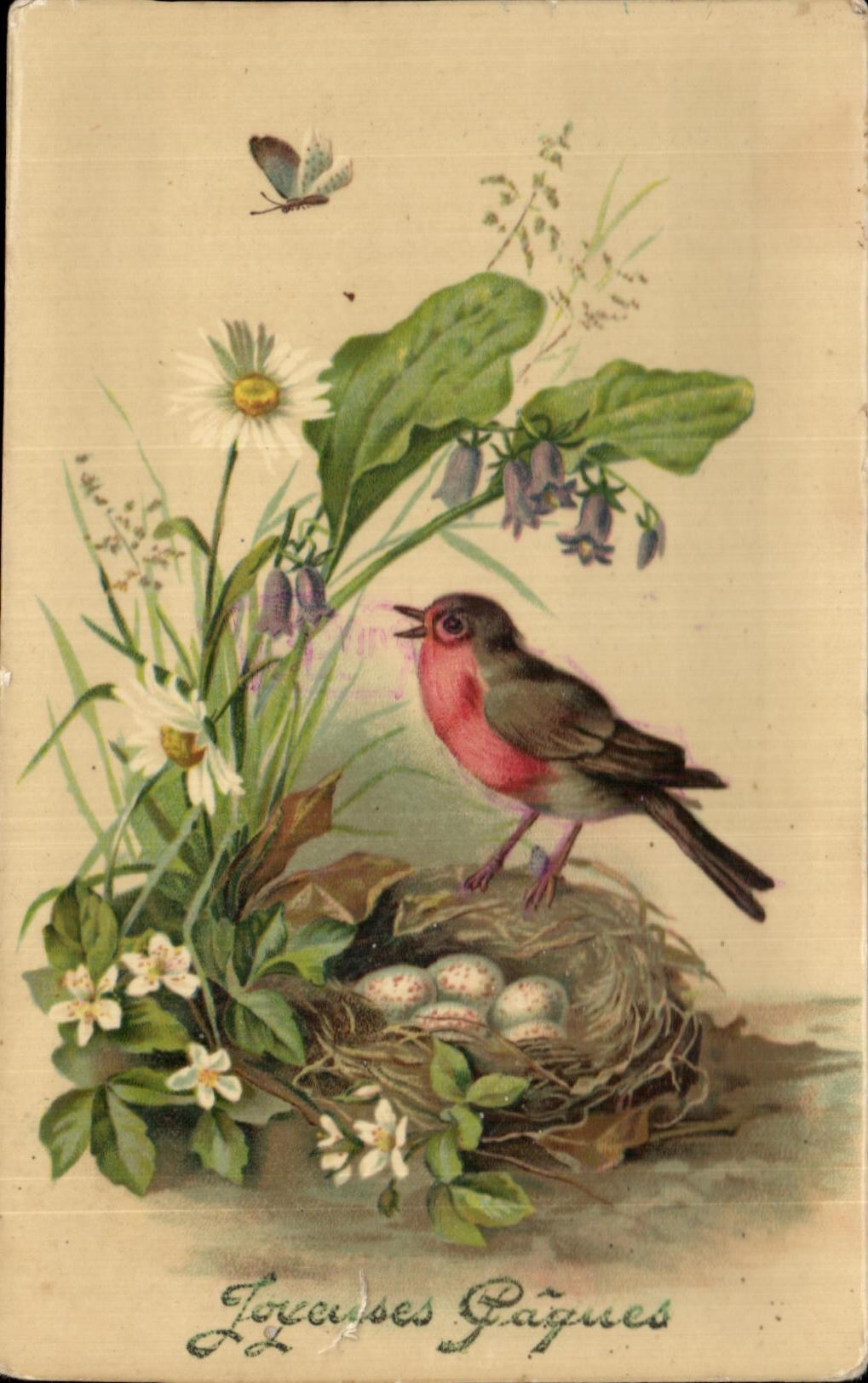 CPA Fantaisie oiseau Paques Easter