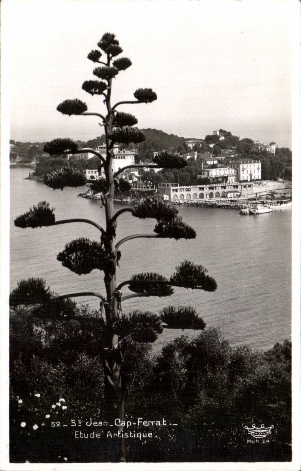St-Jean-Cap-Ferrat — Vue artistique avec agave — Éditions d'Art Munier, n° 52
