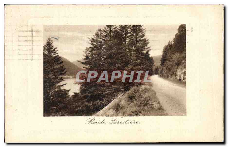 CPA Route Forestiere