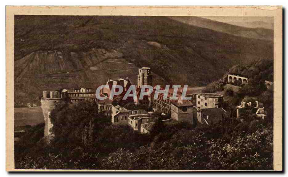 CPA Heidelberg Das Schloos v d Molkenkur aus gesehen