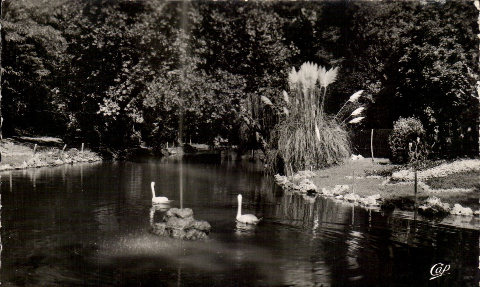 CPA La Rochelle Le Jardin Public