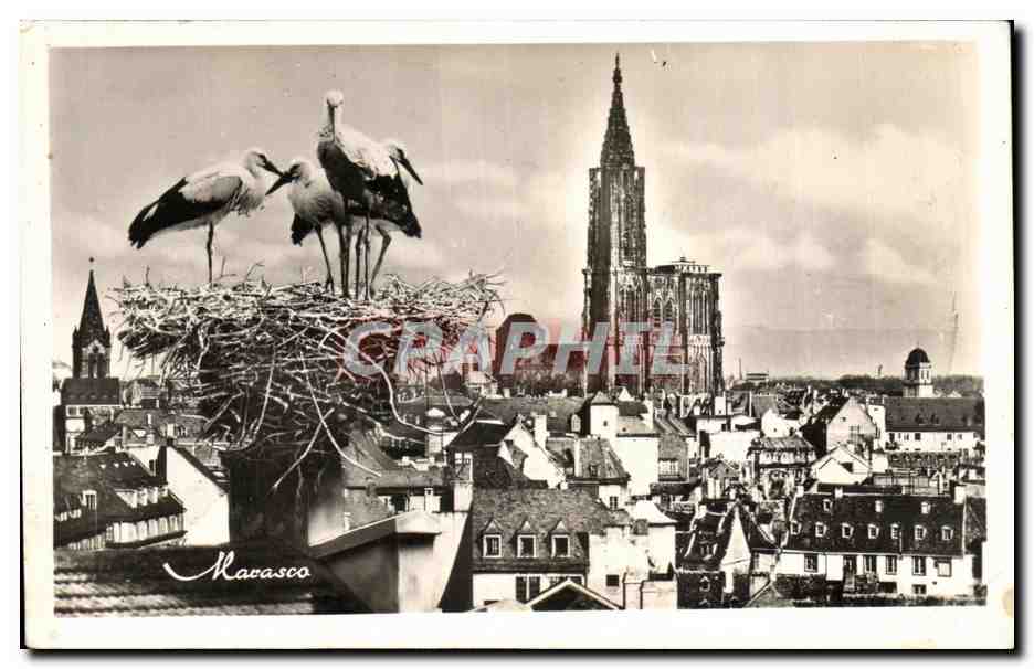 CPA Str Strasbourg Vue Generale et le Nid de Cigognes