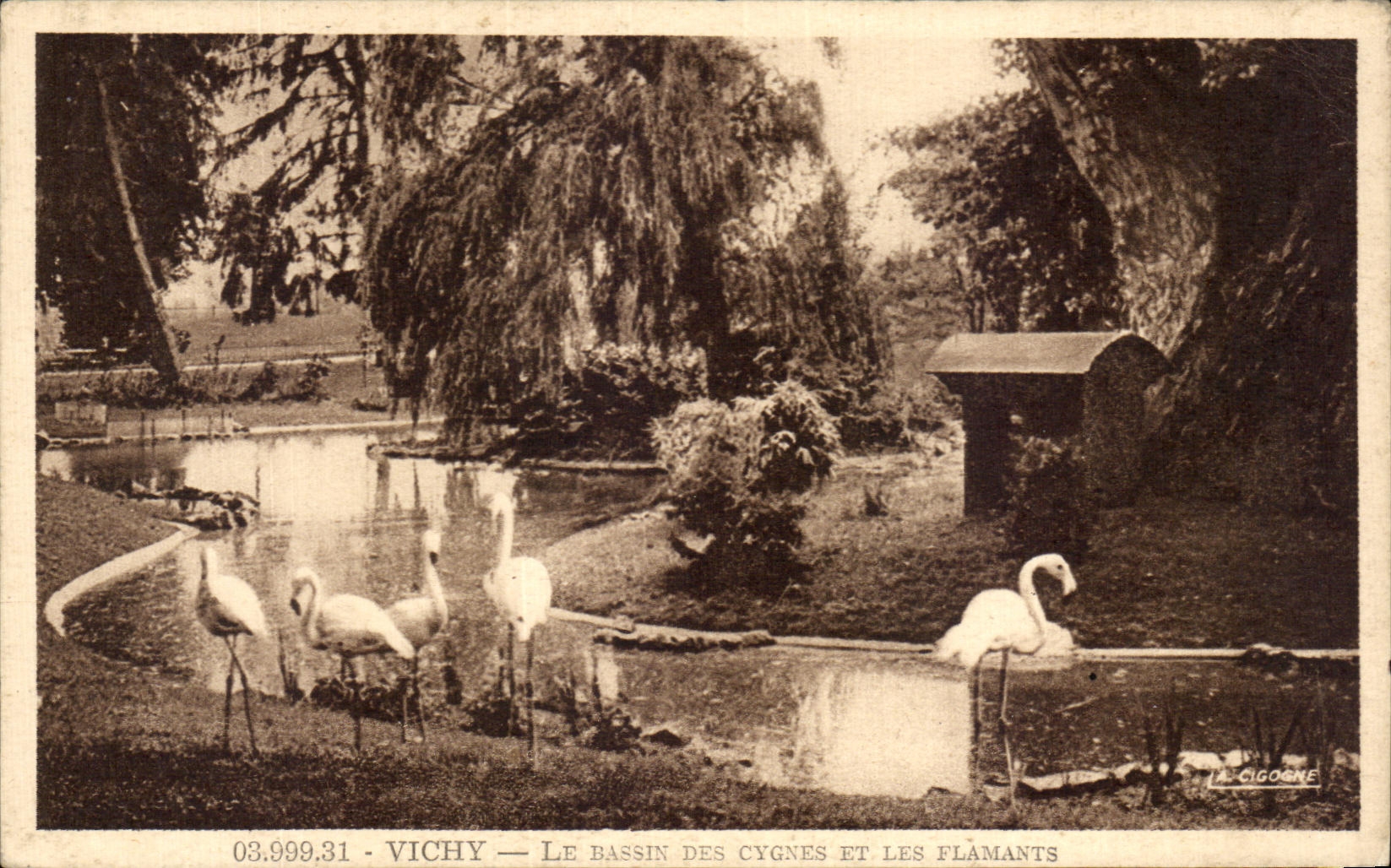 CPA Vichy Le Dassin Des Cygnes Et Les Flamants