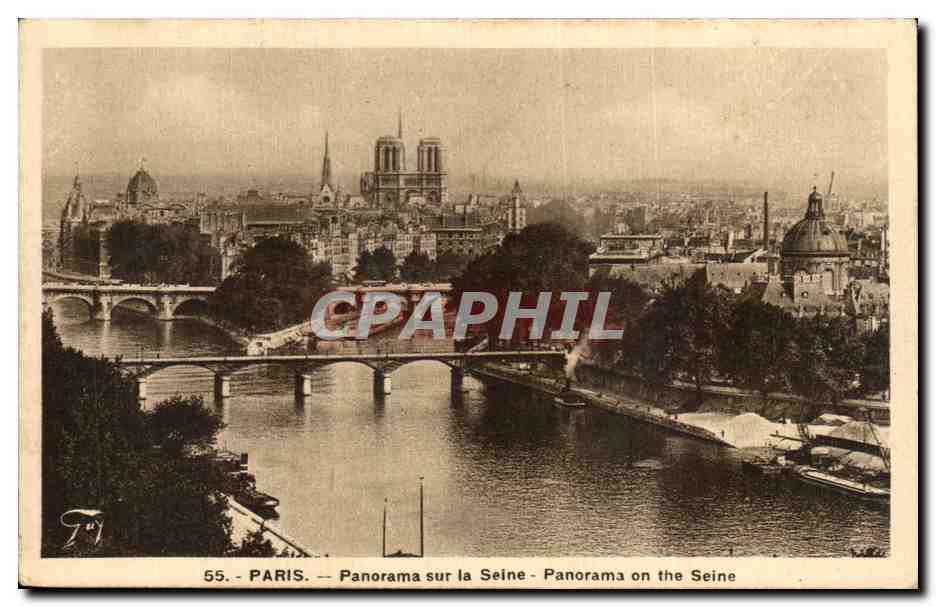 CPA Paris en panorma sur la seine panorama on the seine Notre DAme