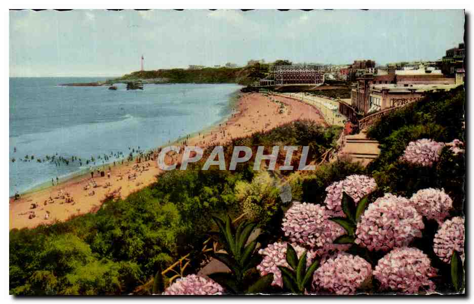 CPA Biarritz Les Hortensias et la Grande Plage