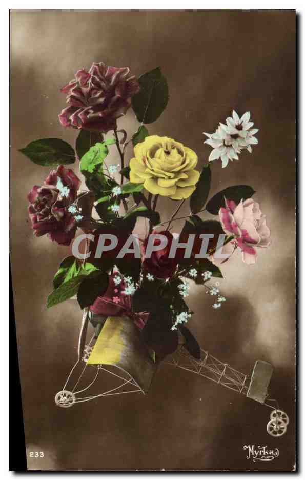 CPA Fantaisie Fleurs Roses Avion