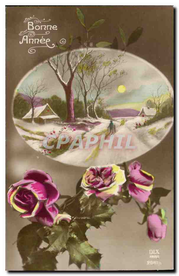 CPA Fantaisie Fleurs Bonne Annee