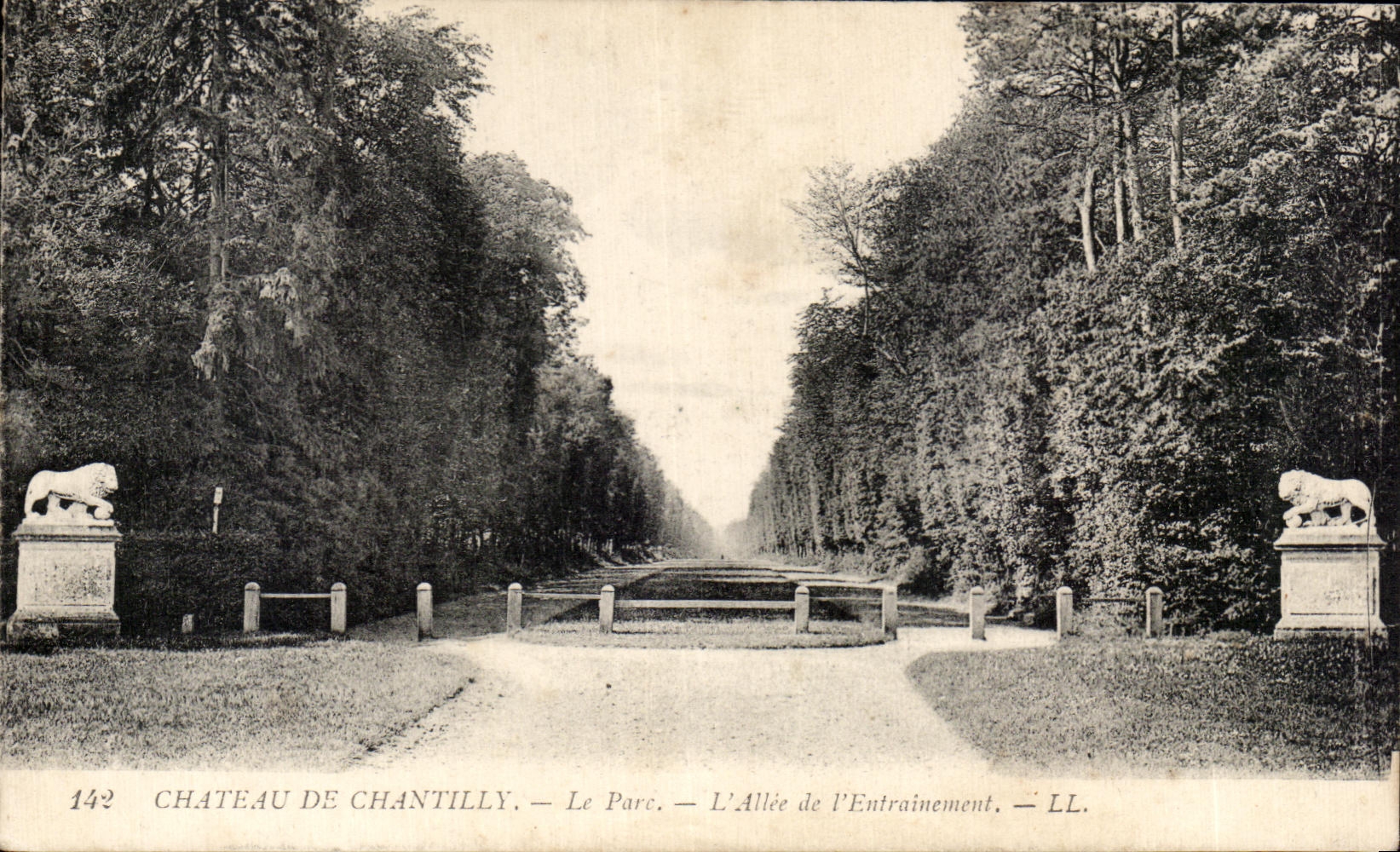 Château de Chantilly — Le Parc — L'Allée de l'Entraînement — LL. — N° 142