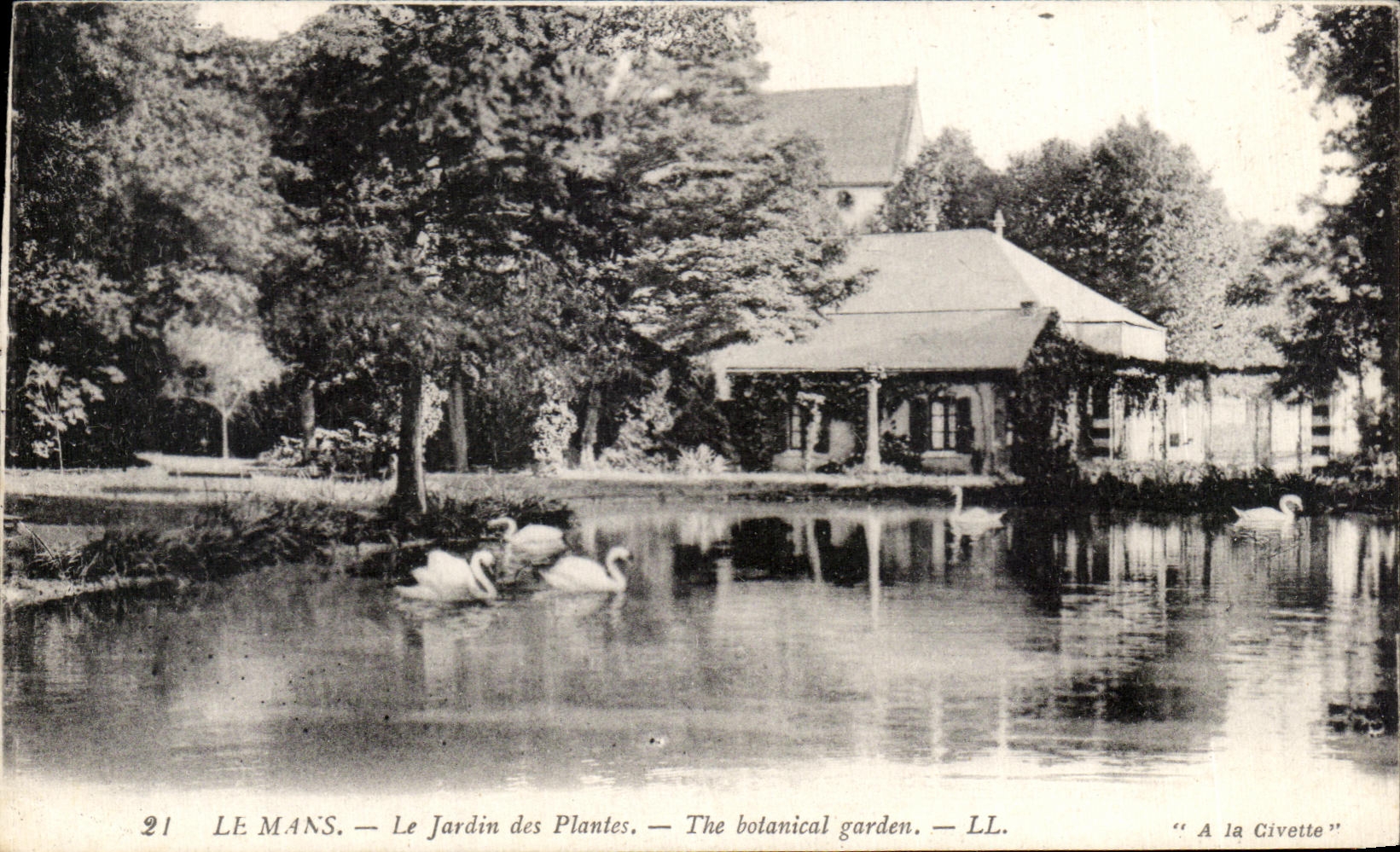 Le Mans — Le Jardin des Plantes — The botanical garden — LL. — 'A la Civette'