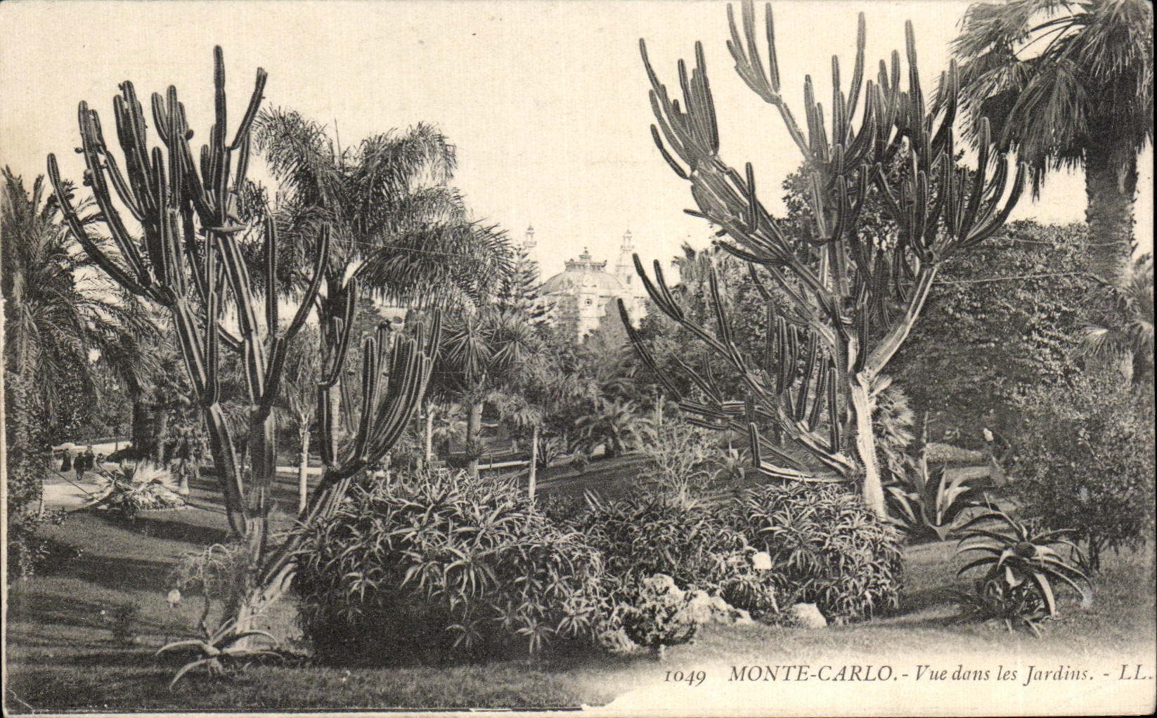 CPA Monte Carlo vue dans les jardins Monaco