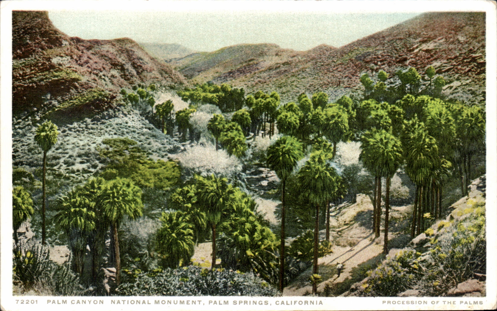 CPA Palm canyon national monument palm springs california
