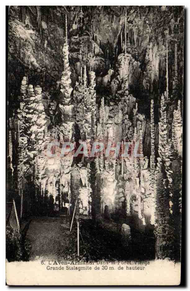 L'Aven-Armand - Grande Stalagmite de 30 m de hauteur - dans la Forêt Vierge